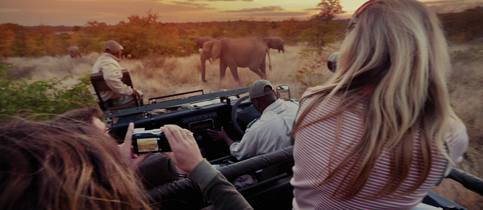 Sudáfrica Animal - Travel Wise