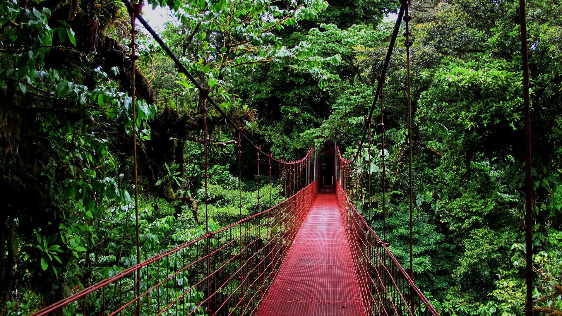 Monteverde.