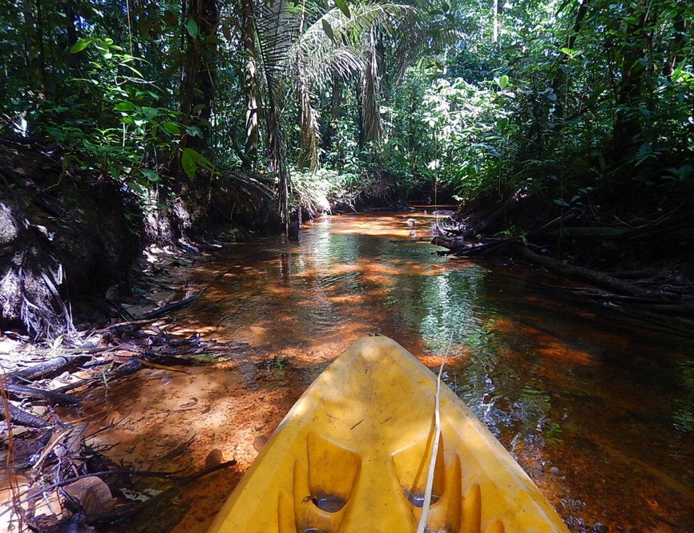 Viajar en crucero Grand Amazon Expedition