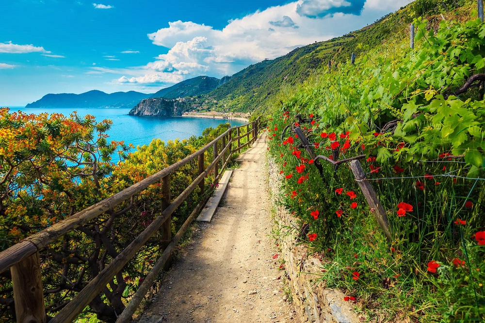 cinque terre sentieri