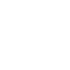 Safari